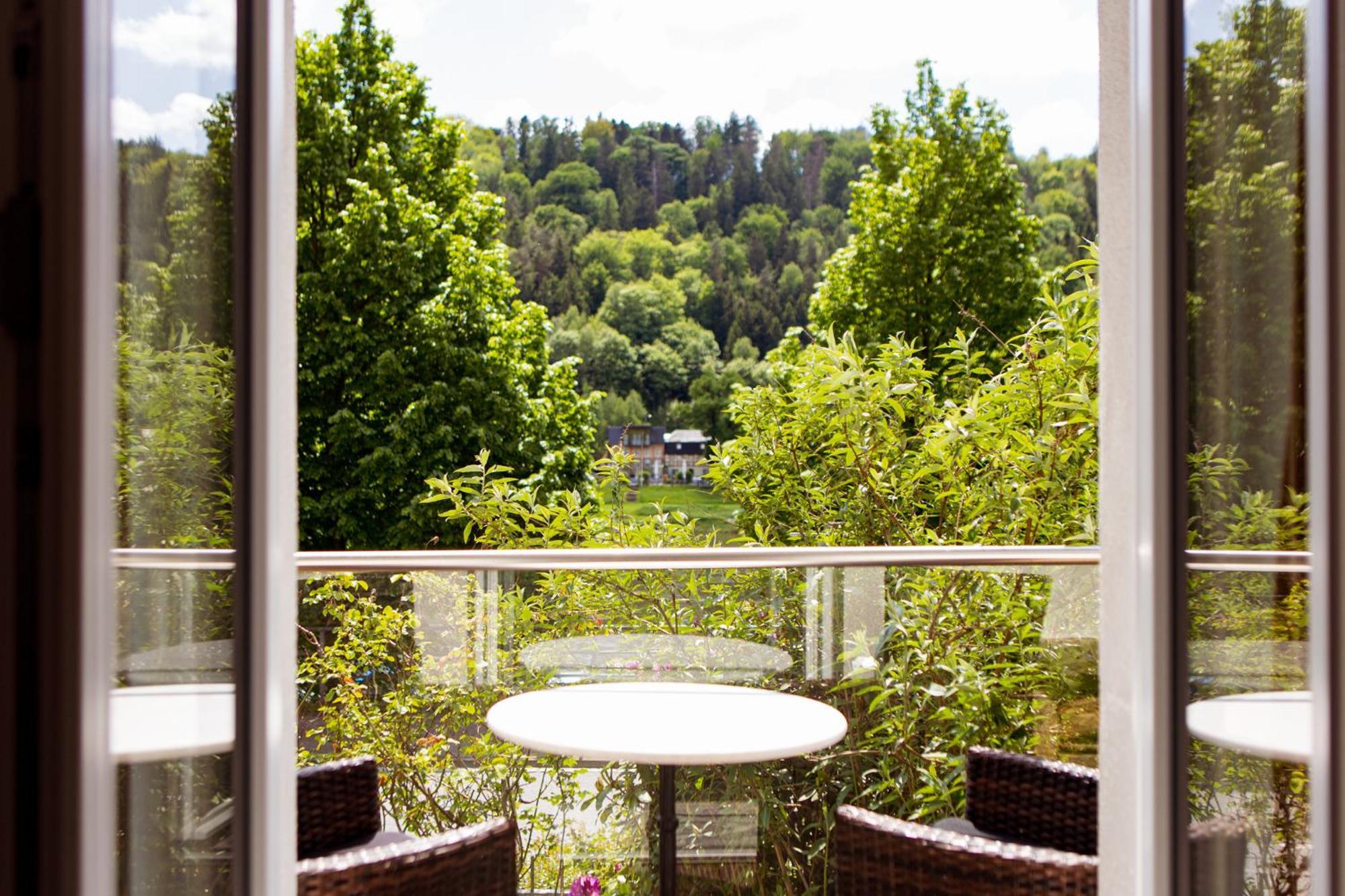 Villa Elbufer Bad Schandau Exterior photo